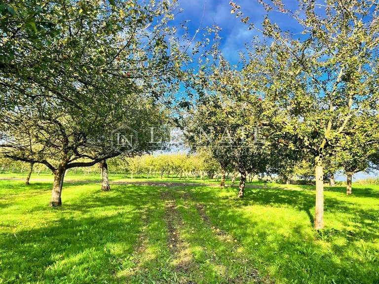 Propriété Morlaix - 4 chambres - 206m²