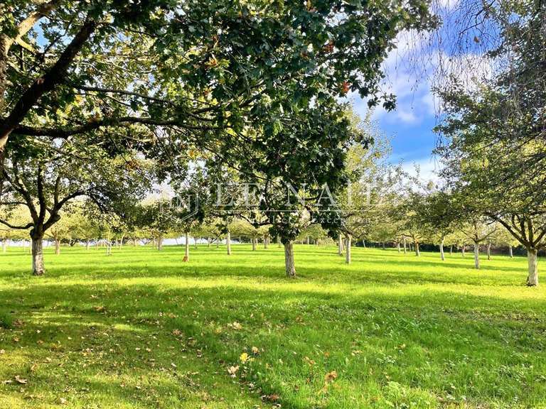 Propriété Morlaix - 4 chambres - 206m²