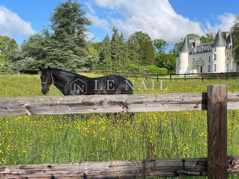 Château Mortagne-au-Perche - 9 chambres - 602m²