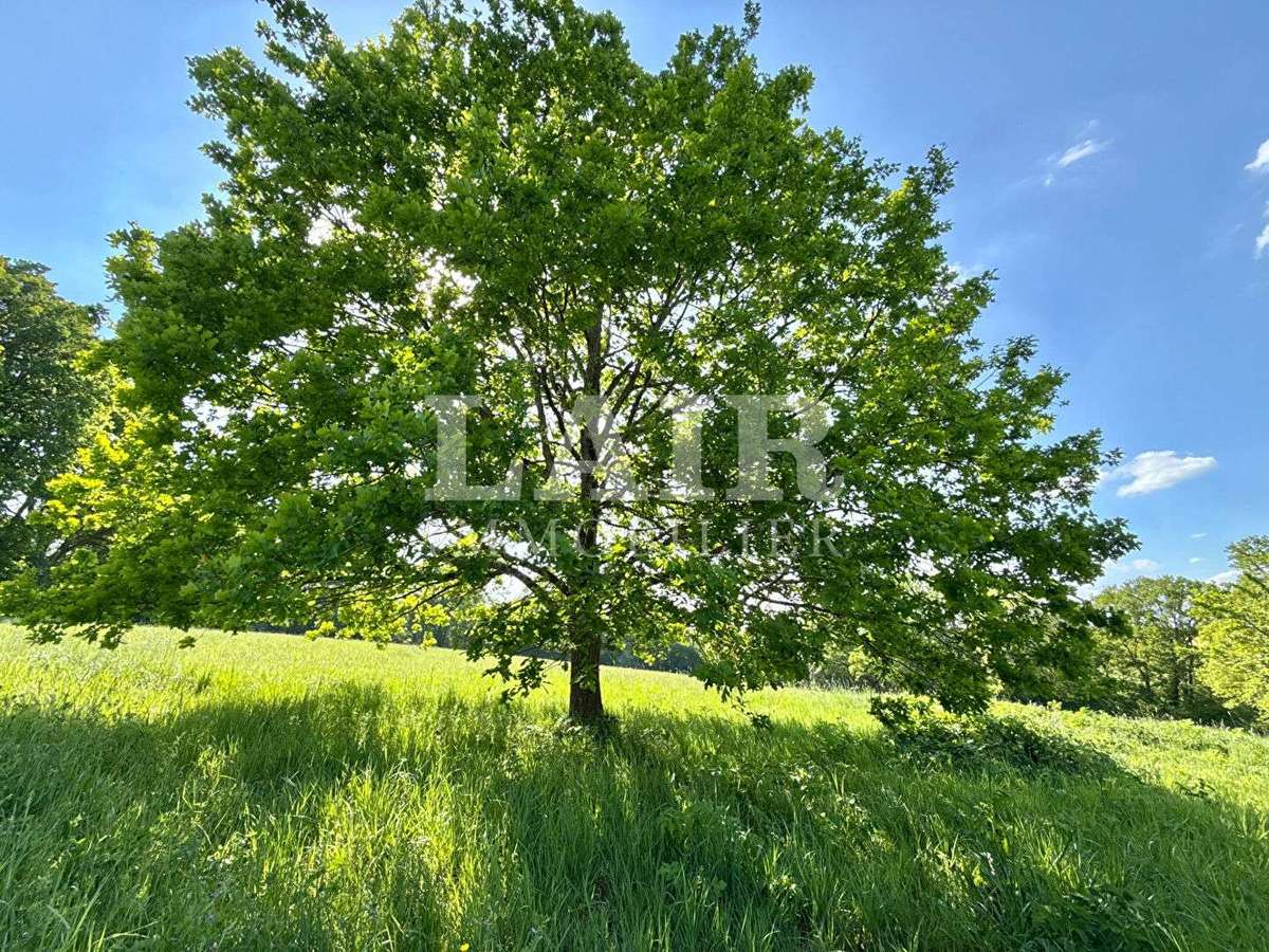 Propriété Mortagne-au-Perche