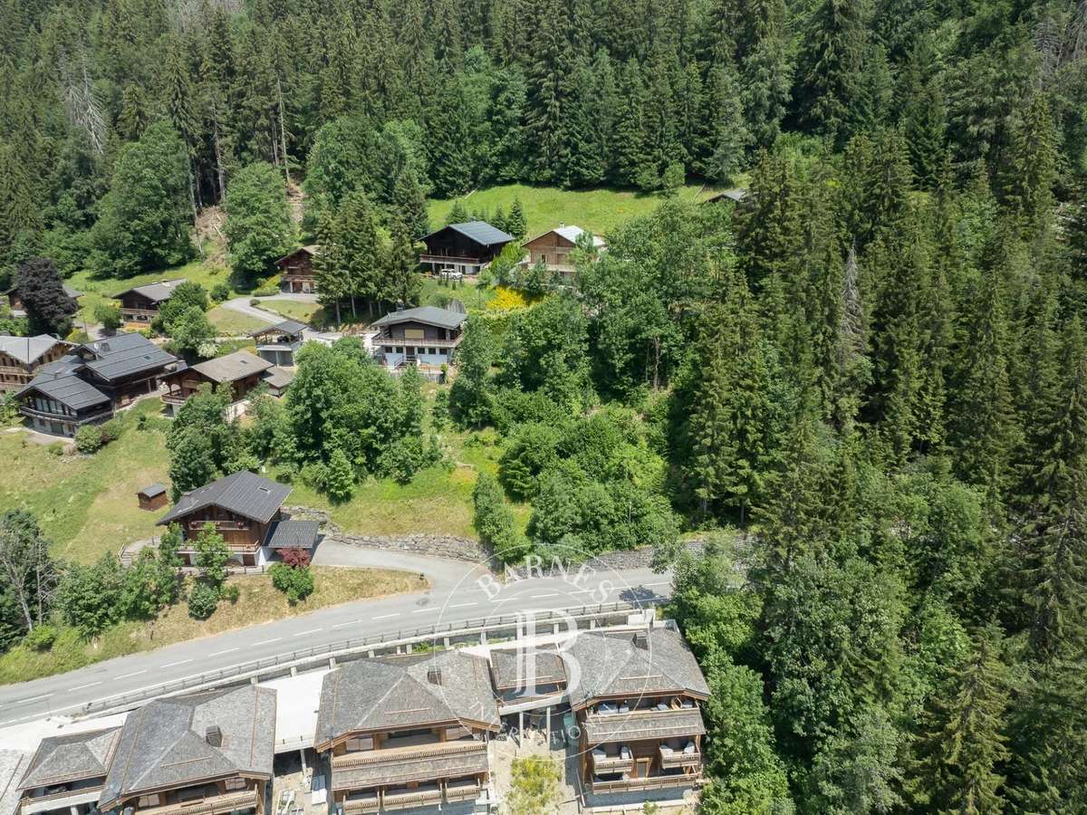 Terrain Morzine