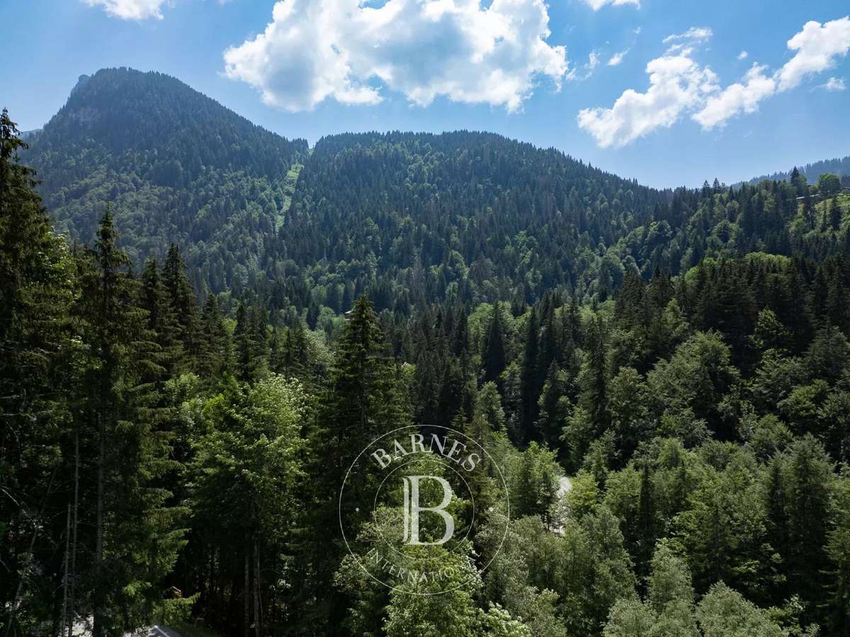 Terrain Morzine