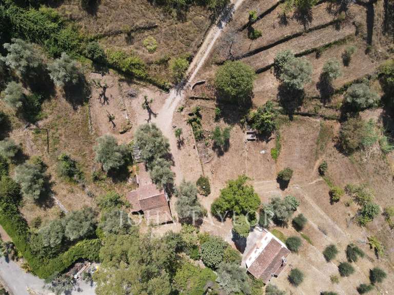 Terrain Mouans-Sartoux - 6066m²