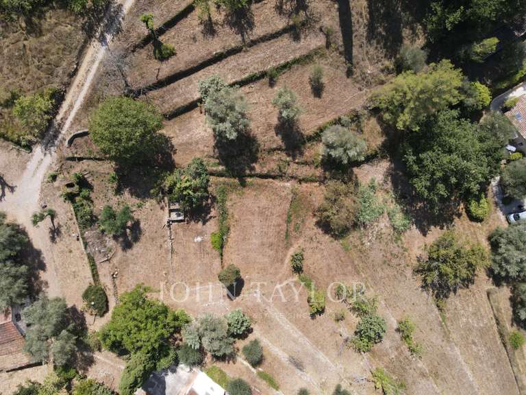 Terrain Mouans-Sartoux - 6066m²