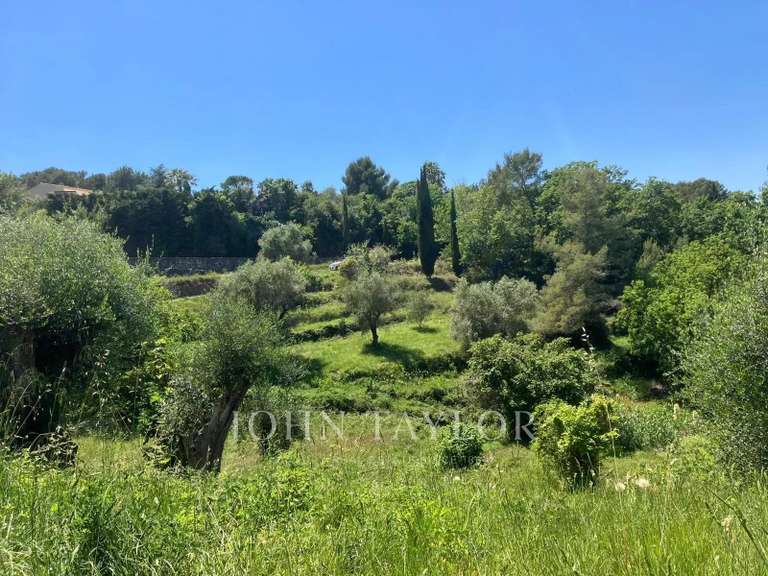 Terrain Mouans-Sartoux - 6066m²