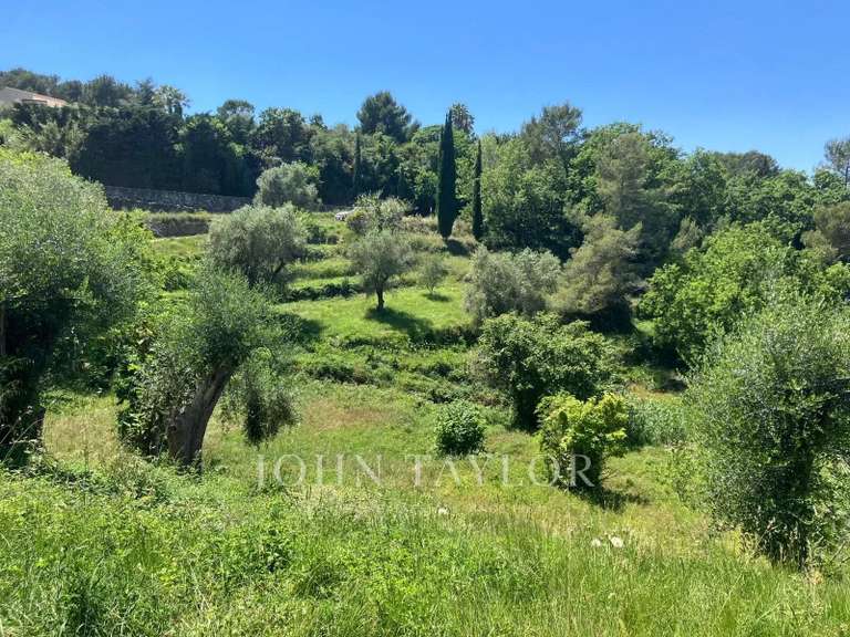 Terrain Mouans-Sartoux - 6066m²