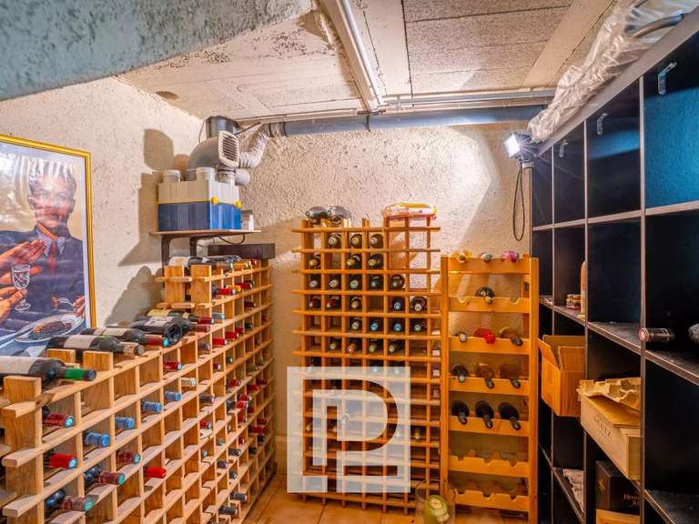 Villa Mouans-Sartoux - 6 chambres - 278m²