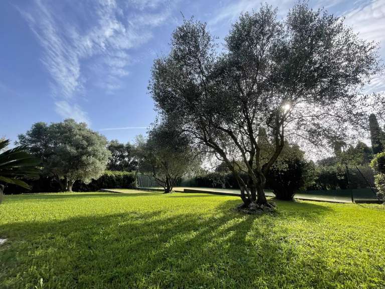 Villa Mouans-Sartoux - 6 chambres - 237m²