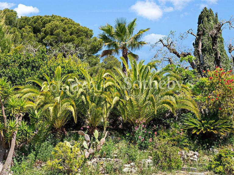 Maison Mougins - 5 chambres - 311m²
