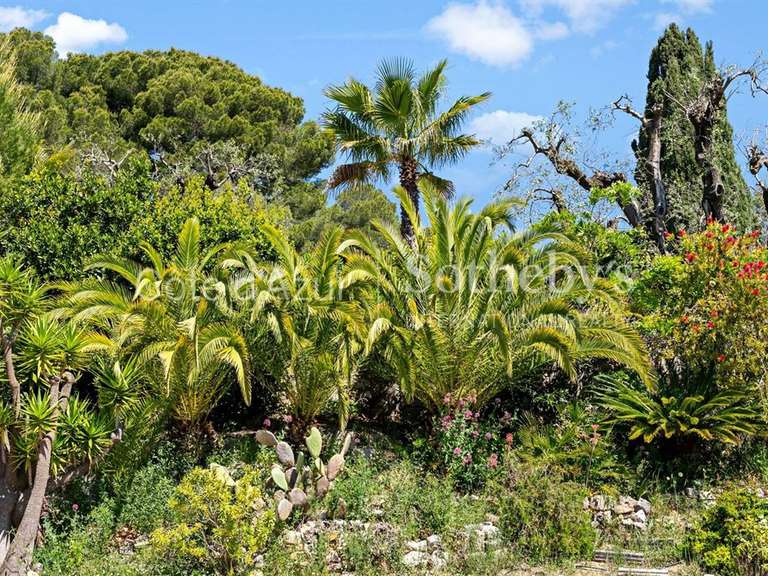 Maison Mougins - 5 chambres - 311m²