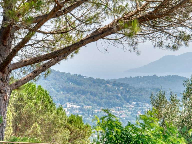 Property Mougins - 4 bedrooms - 230m²