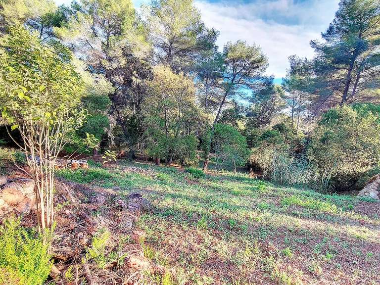 Terrain Mougins - 4277m²