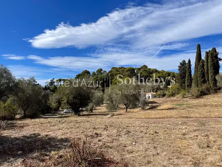 Terrain Mougins - 35233m²