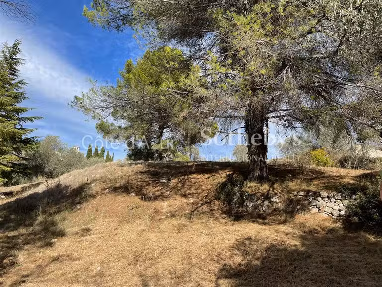 Terrain Mougins - 35233m²
