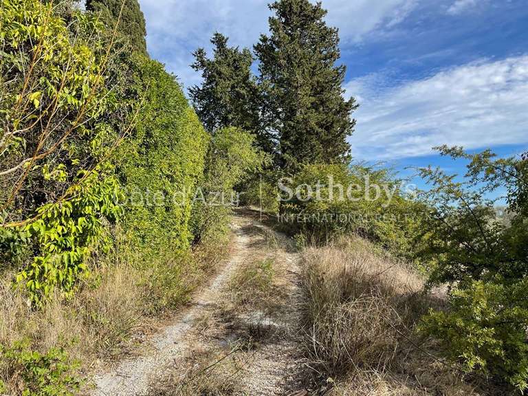 Terrain Mougins - 35233m²