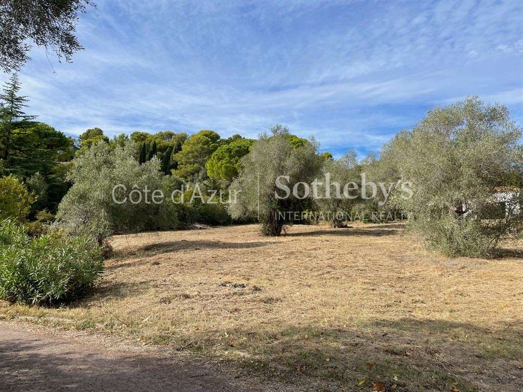 Terrain Mougins