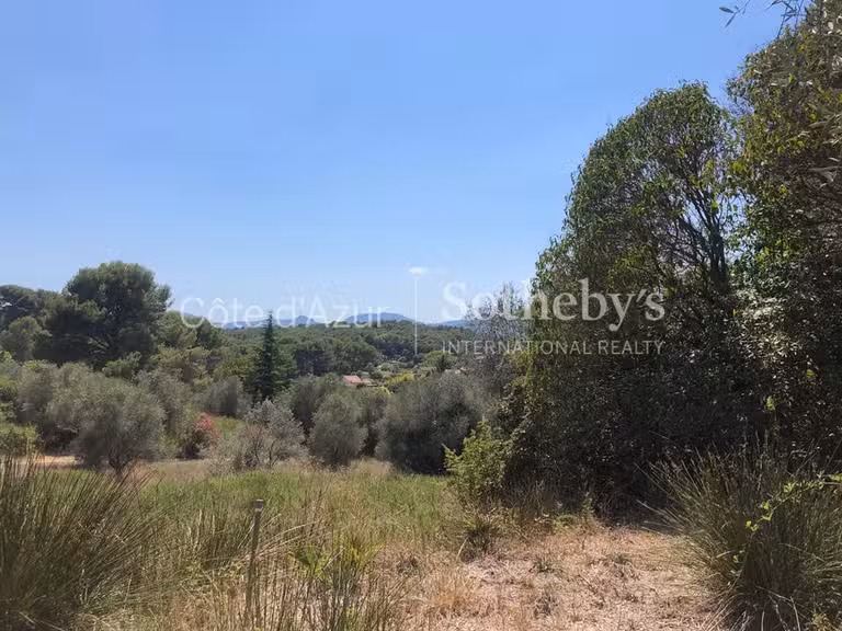 Terrain Mougins - 35233m²