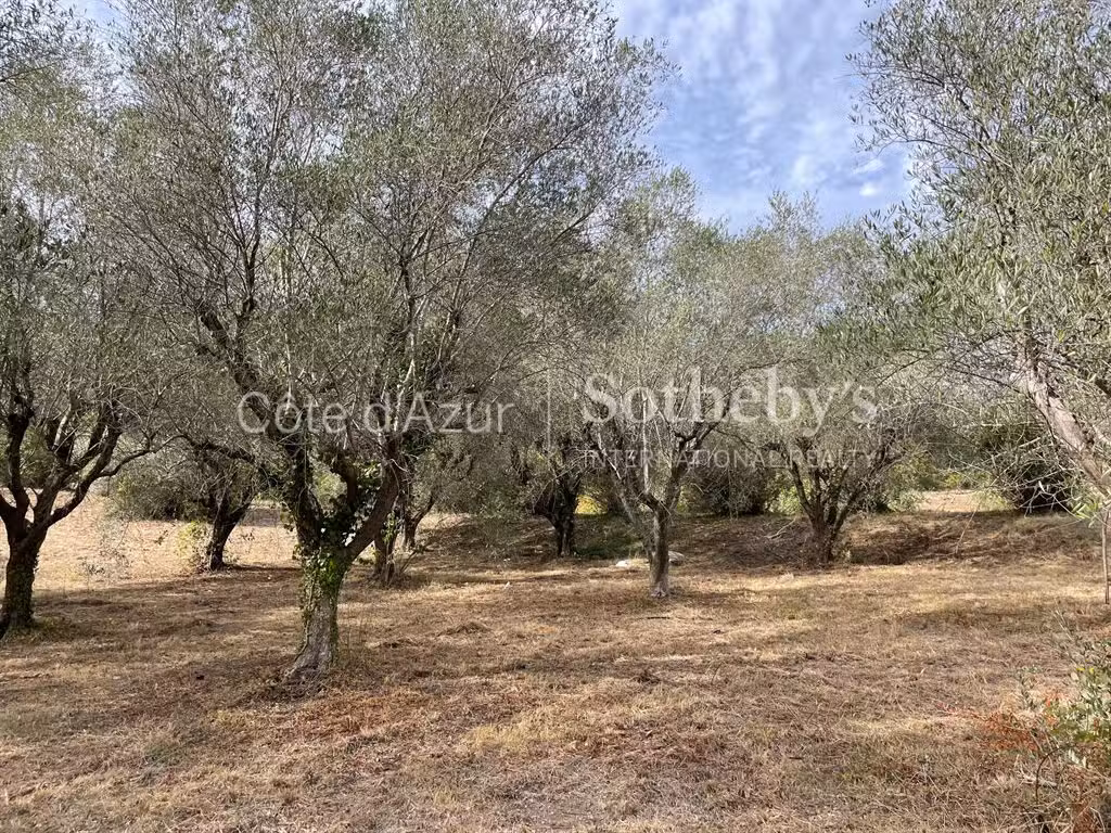 Terrain Mougins