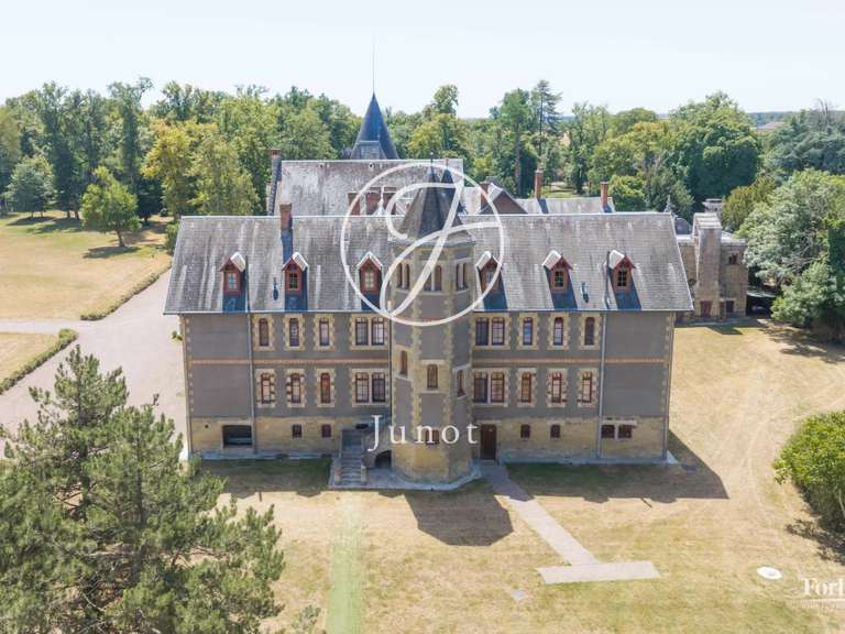 Castle Moulins - 23 bedrooms - 3800m²