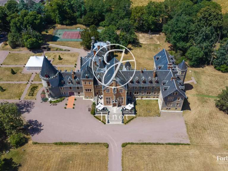 Castle Moulins - 23 bedrooms - 3800m²