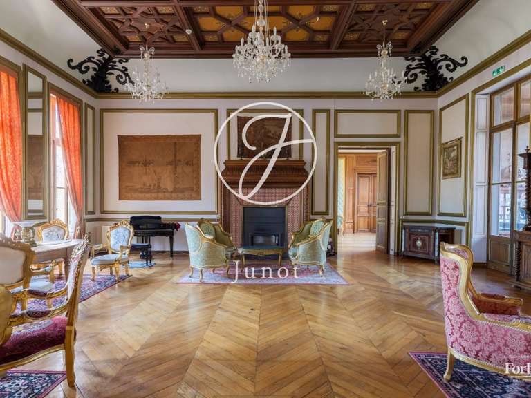 Castle Moulins - 23 bedrooms - 3800m²