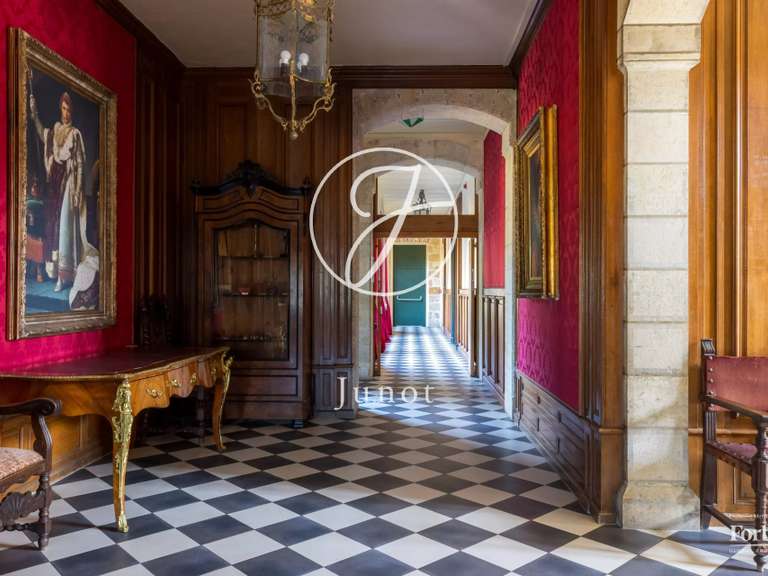 Castle Moulins - 23 bedrooms - 3800m²