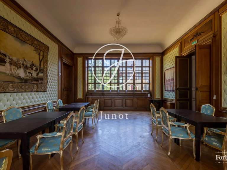 Castle Moulins - 23 bedrooms - 3800m²