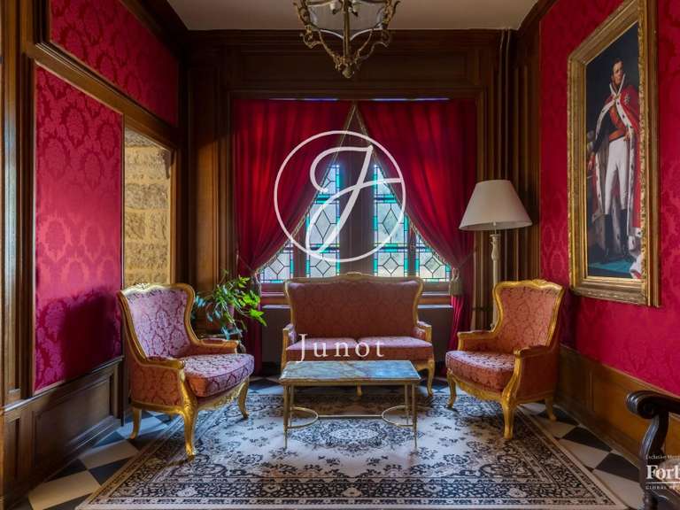 Castle Moulins - 23 bedrooms - 3800m²