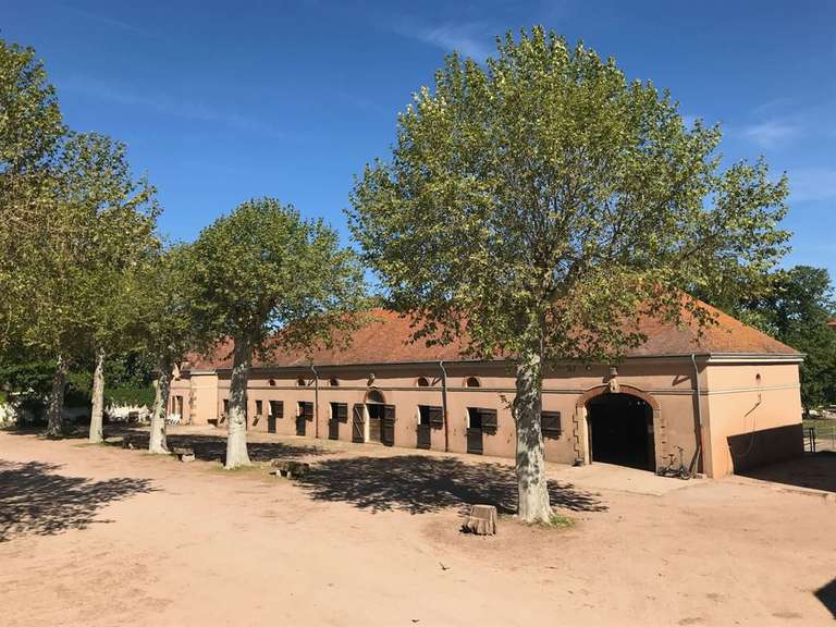 Château Moulins - 968m²