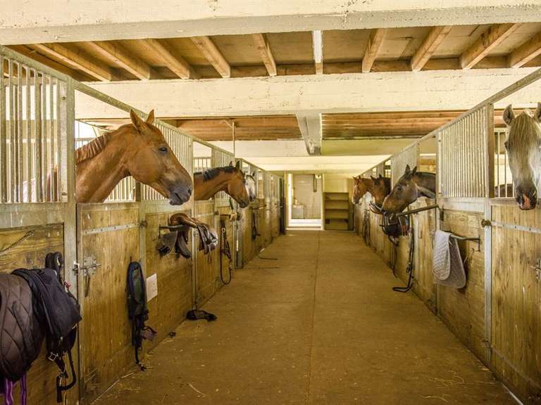 Château Moulins - 968m²