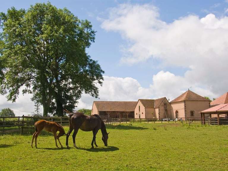 Château Moulins - 968m²