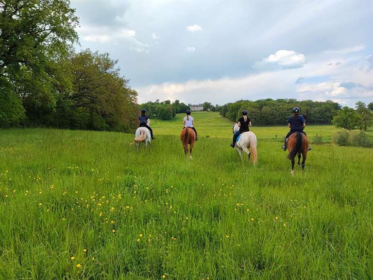 Château Moulins - 968m²