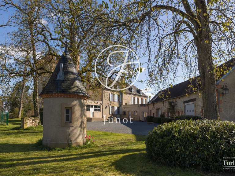 Château Moulins - 7 chambres - 500m²