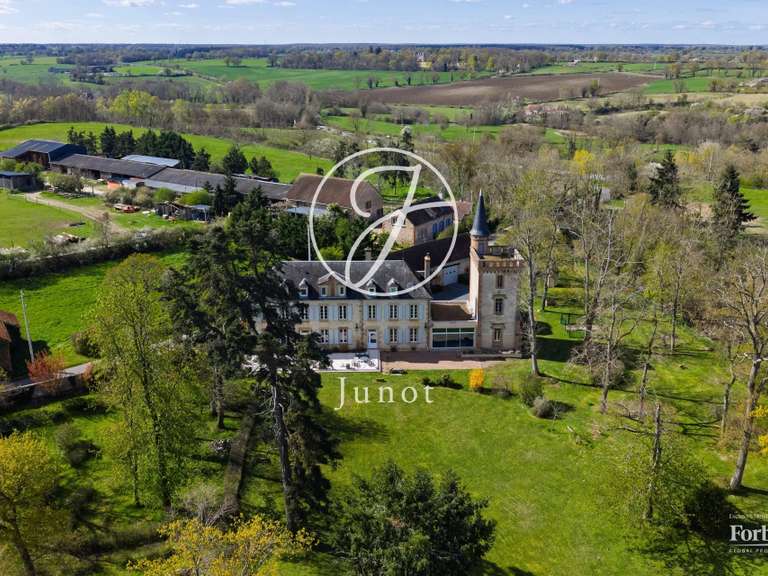 Château Moulins - 7 chambres - 500m²