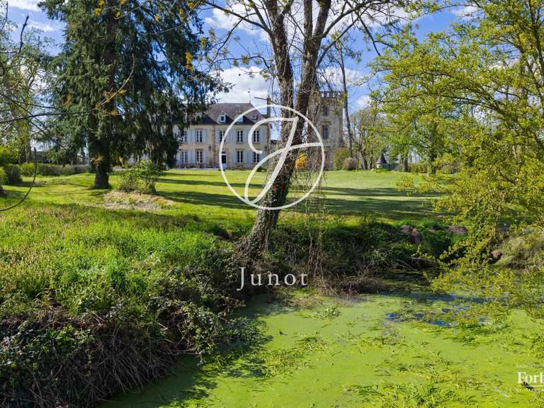 Château Moulins - 7 chambres - 500m²