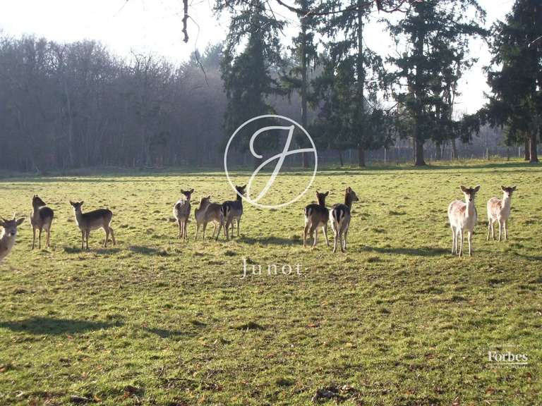 Château Moulins - 6 chambres - 1896m²