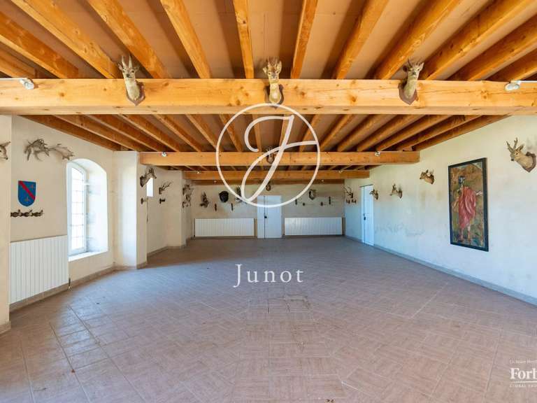 Château Moulins - 6 chambres - 1896m²