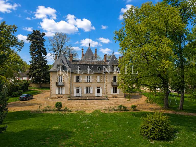 Château Moulins - 11 chambres - 413m²