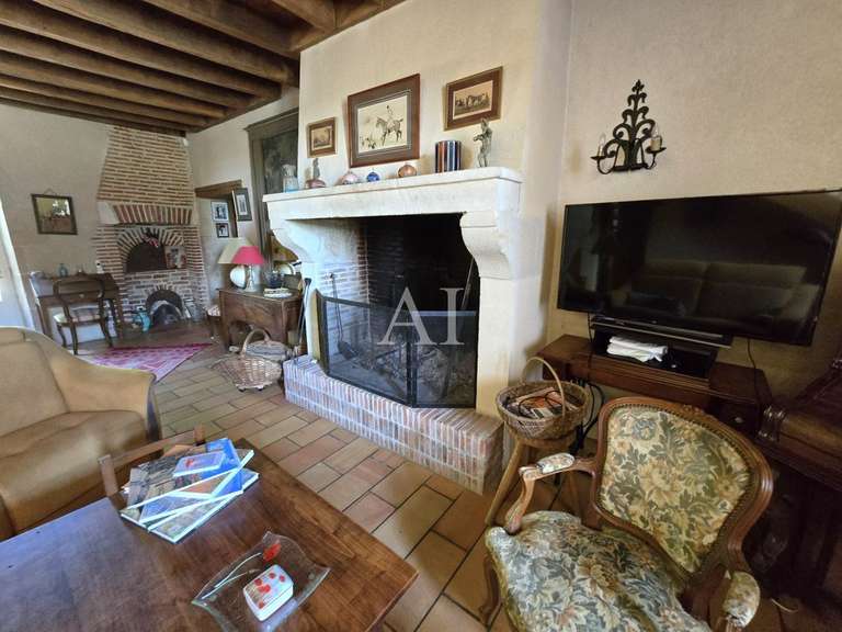 Maison Moulins-sur-Yèvre - 6 chambres - 311m²