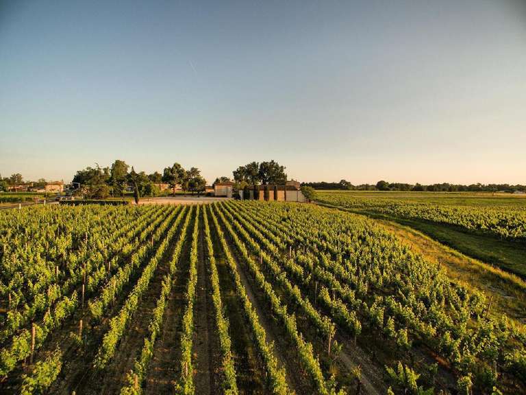 Maison Moulis-en-Médoc - 600m²