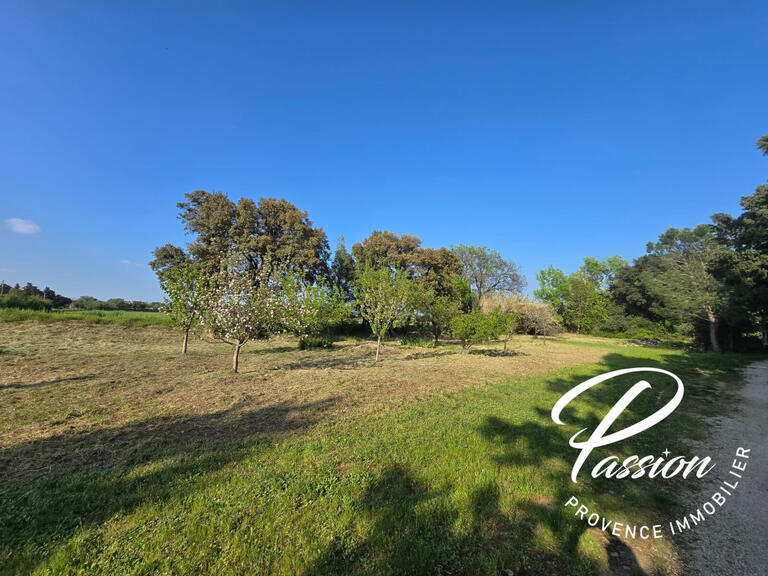House Mouriès - 4 bedrooms - 267m²