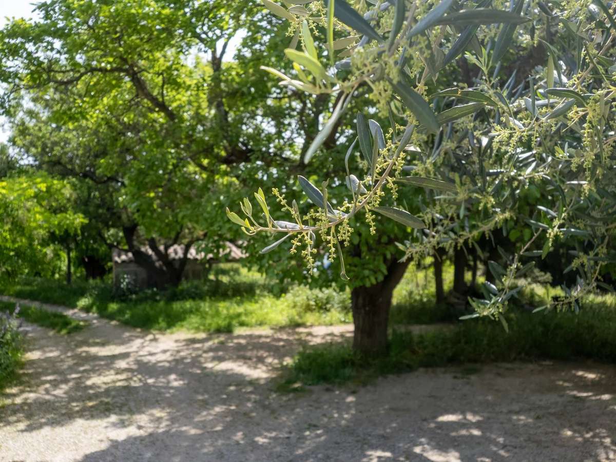 Propriété Mouriès