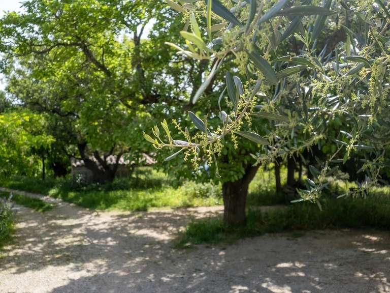 Propriété Mouriès - 700m²