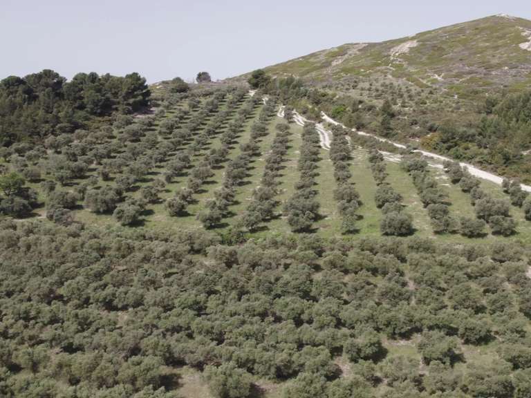 Propriété Mouriès - 700m²