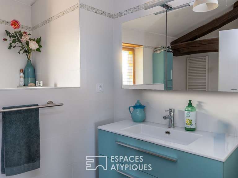 Maison Mours-Saint-Eusèbe - 5 chambres - 364m²