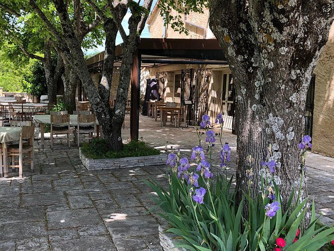 Maison Moustiers-Sainte-Marie - 5 chambres - 292m²