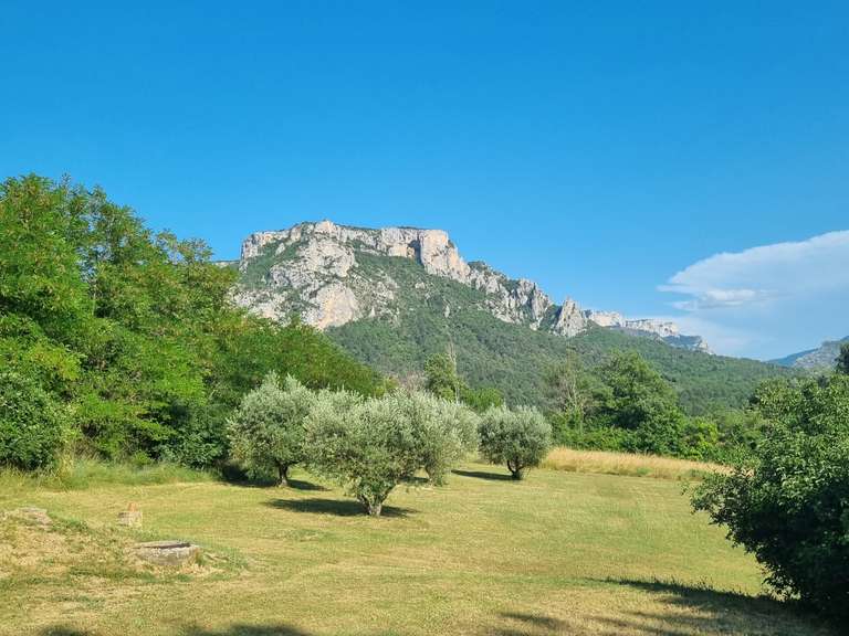 Maison Moustiers-Sainte-Marie - 5 chambres - 292m²