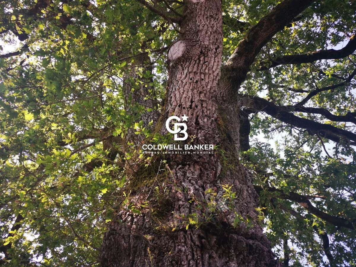 Maison Moutiers-les-Mauxfaits