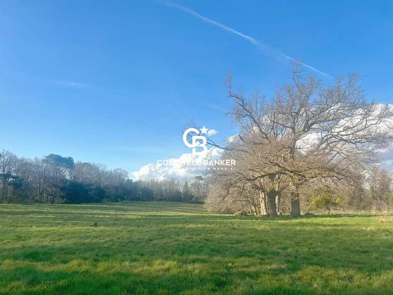 Maison Moutiers-les-Mauxfaits - 7 chambres - 440m²