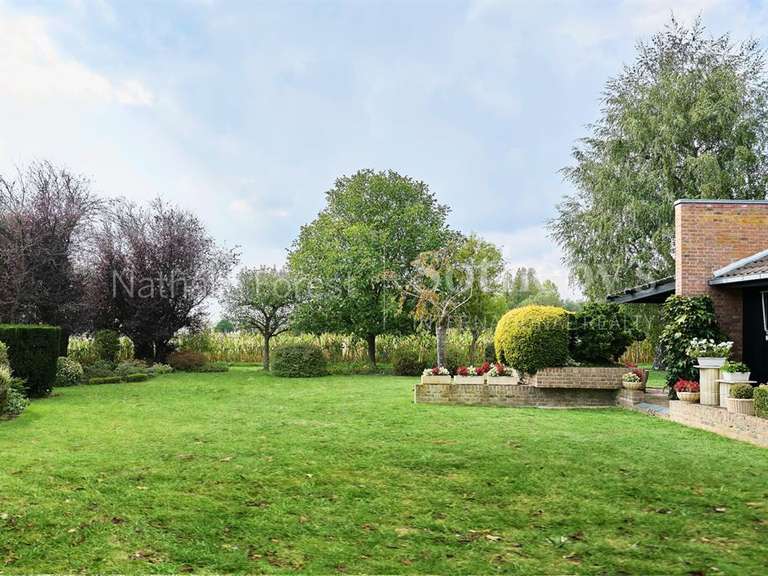 House Mouvaux - 5 bedrooms - 200m²